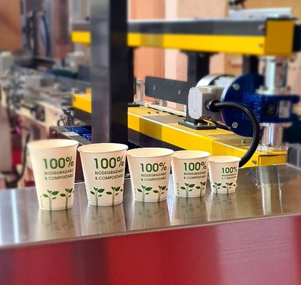 Latest company blogs about how to make paper cups