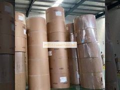 PE/PLA Coated Paper Roll