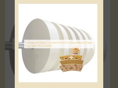 FSC 인증을 가진 원료 종이 컵에 맞춤형 종이 컵 바닥 롤