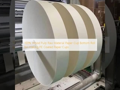 100% Wood Pulp Raw Material Paper Cup Bottom Roll for making PE Coated Paper Cups 