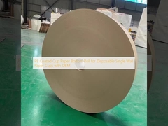  PE Coated Cup Paper Bottom Roll for Disposable Single Wall Paper Cups with OEM 