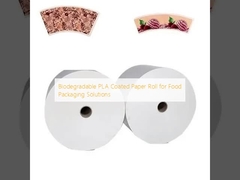 Biodegradable PLA Coated Paper Roll for Food Packaging Solutions
