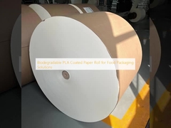 Biodegradable PLA Coated Paper Roll for Food Packaging Solutions