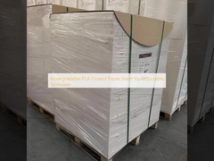  Biodegradable PLA Coated Paper Sheet for Disposable Tableware 
