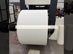 PE Coated Paper Roll for Disposable Cups and Containers