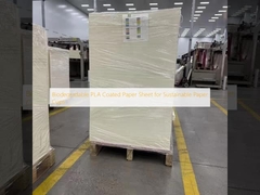 지속 가능한 종이 컵을 위한 생분해 가능한 PLA 코팅 종이