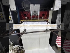 지속 가능한 종이 컵을 위한 생분해 가능한 PLA 코팅 종이