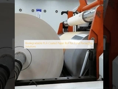 Biodegradable PLA Coated Paper Roll for Food Packaging Solutions