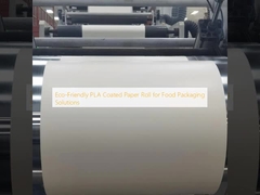 Eco-Friendly PLA Coated Paper Roll for Food Packaging Solutions
