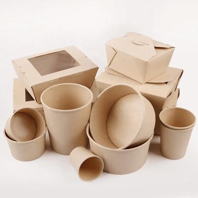 Biodegradable PLA Coated Paper Salad Bowl With FSC Certified