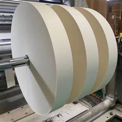 100% Wood Pulp Raw Material Paper Cup Bottom Roll For Making PE Coated Paper Cups