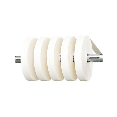 PE Coated Paper Cup Bottom Reel For Disposable Single Wall Paper Cups With OEM