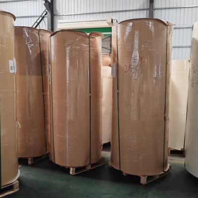 100% Wood Pulp Raw Material Paper Cup Bottom Roll For Making PE Coated Paper Cups