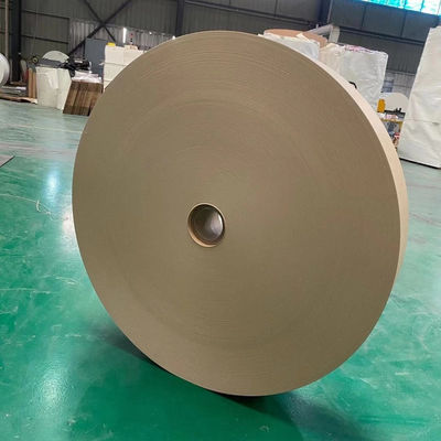 PE Coated Paper Cup Bottom Reel For Disposable Single Wall Paper Cups With OEM