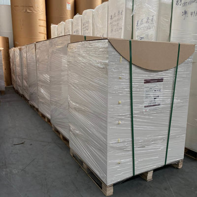 Food Grade PLA Coated Paper Sheet For Disposable Paper Cups Thermoforming