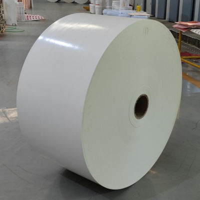 High-Temperature Resistant PLA Coated Paper Roll for Food Packaging Solutions