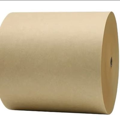 Biodegradable PE Coated Paper Roll for Disposable Paper Cups