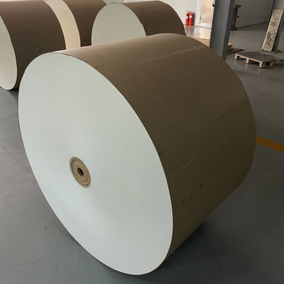 PLA Coated Paper Roll for High-Temperature Resistant Food Packaging Solutions