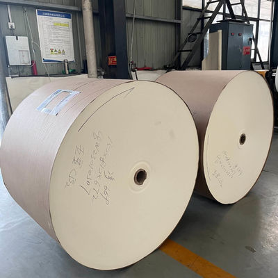 Biodegradable PLA Coated Paper Roll 150 - 350 Gsm For Food Packaging Solutions
