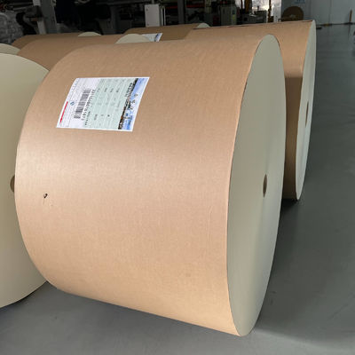 Single PE coated Paper Roll for food packaging paper cups with waterproof
