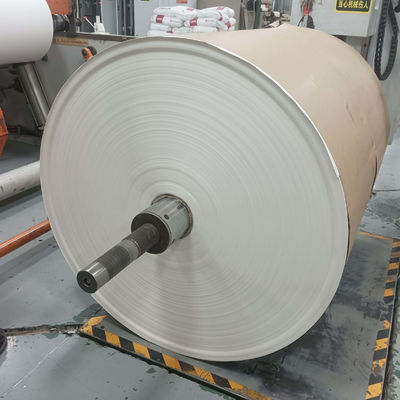 Single PE coated Paper Roll for food packaging paper cups with waterproof
