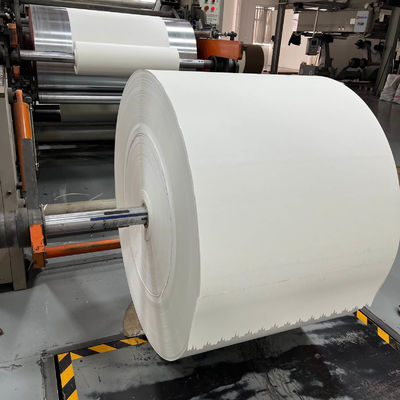 Biodegradable PLA Coated Paper Roll 150 - 350 Gsm For Food Packaging Solutions