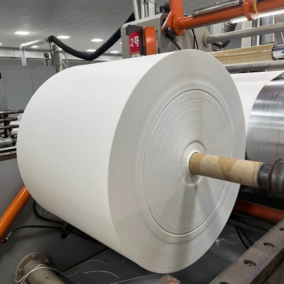 Biodegradable PE Coated Paper Roll for Disposable Paper Cups