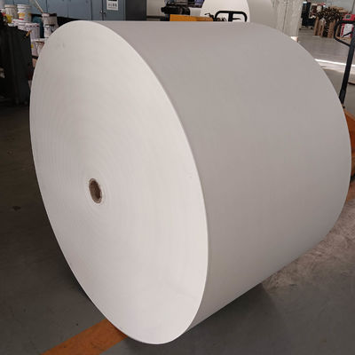 Biodegradable PLA Coated Paper Roll Customizable For Food Packaging Solutions