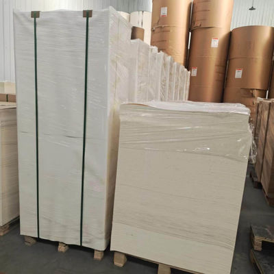 Food Grade PE Coated Paper Sheet Disposable Paper Cups Sheet FSC Certified