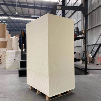 Biodegradable PLA Coated Paper Sheet 150 - 350 Gsm For Disposable Tableware