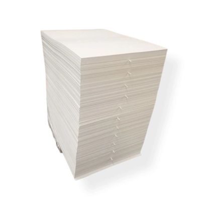 Biodegradable PLA Coated Paper Sheet for Sustainable Paper Cups