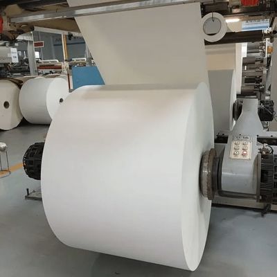 Greaseproof and Water Resistant PE Coated Paper Roll for Frozen Food Packaging Custom Sizes Available