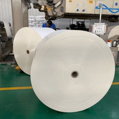 PE Coated Paper Roll for Disposable Cups and Containers