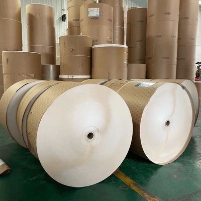 Greaseproof and Water Resistant PE Coated Paper Roll for Disposable Cups and Containers