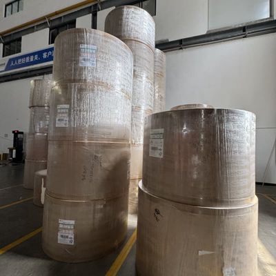 PLA Coated Paper Roll for High-Temperature Resistant Food Packaging Solutions