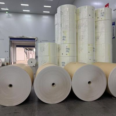 Single PE coated Paper Roll for food packaging paper cups with waterproof