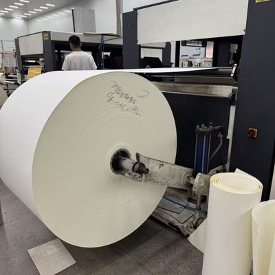 Single PE Coated Paper Roll Raw Material for Paper Cups