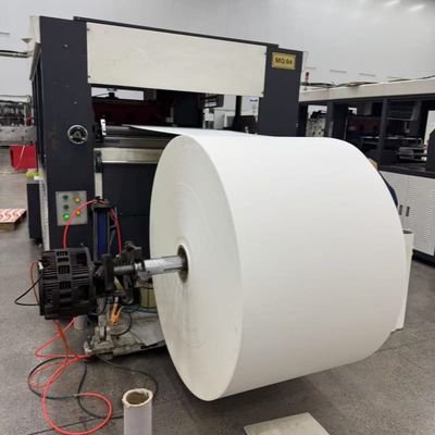 Greaseproof and Water Resistant PE Coated Paper Roll for Disposable Cups and Containers