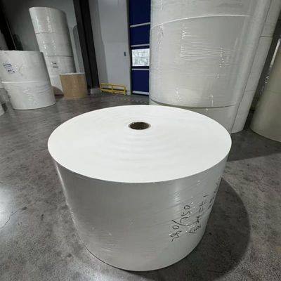 Waterproof and Greaseproof PE Coated Paper Roll for Food Packaging Solutions