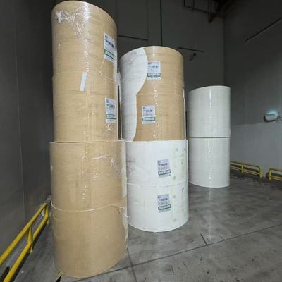 Greaseproof and Water Resistant PE Coated Paper Roll for Frozen Food Packaging Custom Sizes Available