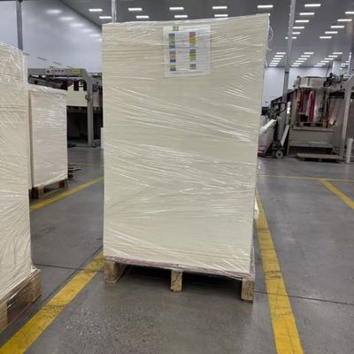 Biodegradable PLA Coated Paper Sheet for Sustainable Paper Cups