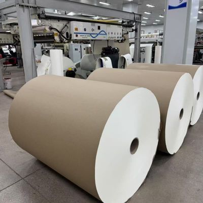 Brown Kraft Paper Roll For Making Food Container Salad Box