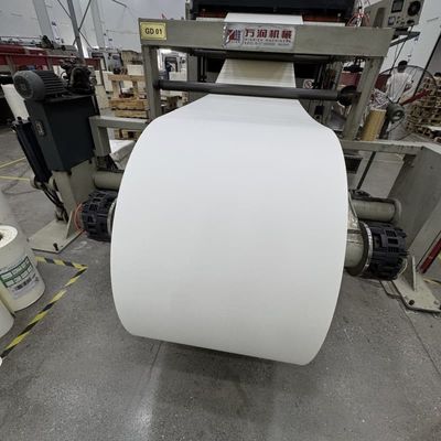 PE laminated Paper Roll for food and beverage packaging