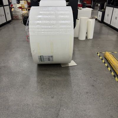 Greaseproof and Water Resistant PE Coated Paper Roll for Disposable Cups and Containers