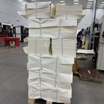 Recyclable PLA Coated Paper Sheet Disposable Biodegradable Food Packaging Containers