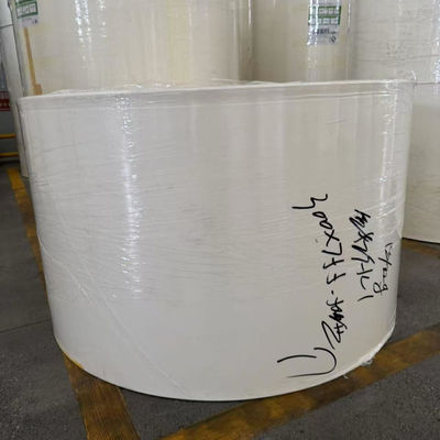 PE Coated Paper Roll for Health and Safety Certified Food Packaging Solution