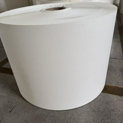 PE Coated Paper Roll for Disposable Paper Cups Factory