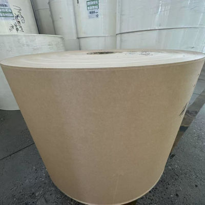 PE Coated Kraft Paper Cup Roll For Food Container Salad Box