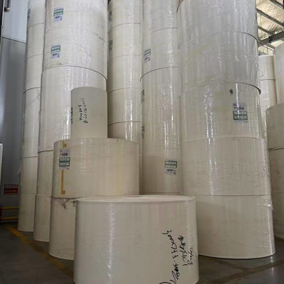 PE Coated Paper Roll Cupstock for food and beverage packaging