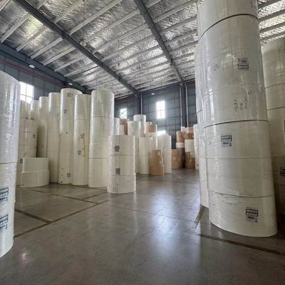 PE Coated Paper Roll for Health and Safety Certified Food Packaging Solution